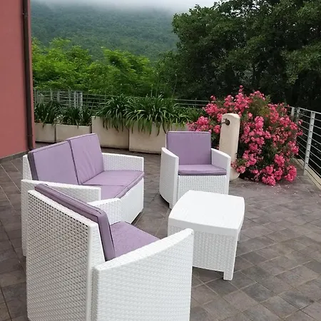 Con Vista *
